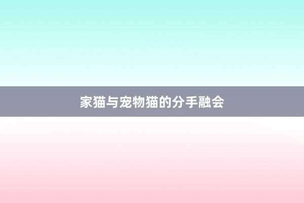 家猫与宠物猫的分手融会